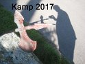 Kamp2017